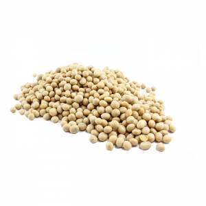 Australian Biodynamic Soy Beans image