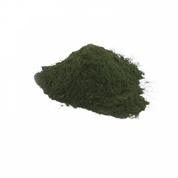 Chlorella Powder image